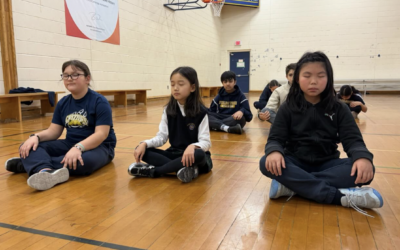 Midweek Mindfulness: Building Calm and Focus at Fieldstone