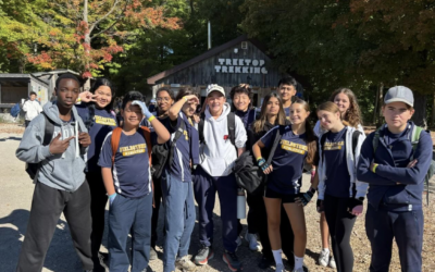 Adventure and Teamwork at Treetop Trekking